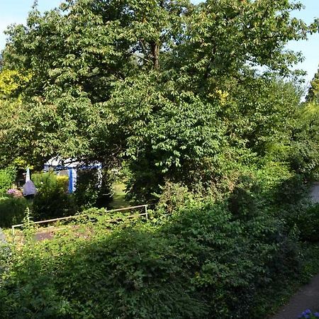 4 Sterne Ferienwohnungen Lavendel Brueggen بروخن المظهر الخارجي الصورة